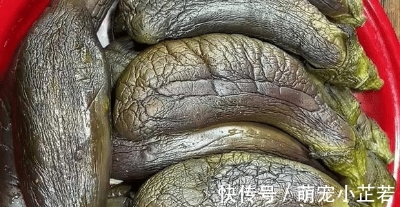 这食材正当季,不晒也不腌,蒸一蒸存到冰箱,冬季炒肉炖汤真美味