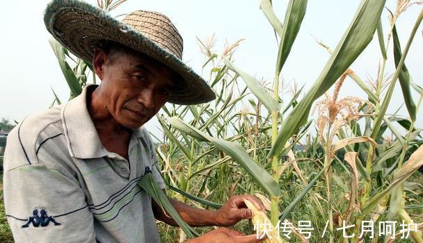 农历|六月立秋样样丢,七月立秋样样收,2021年是六月立秋还是七月立秋