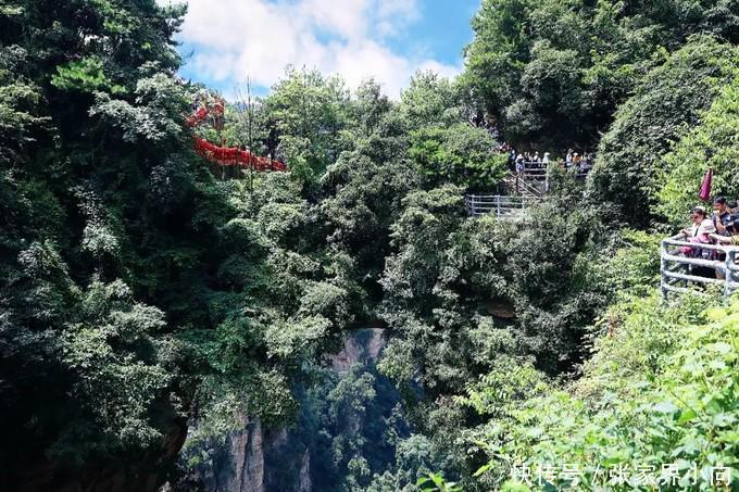 去看悬浮山（张家界高品国际旅行社）