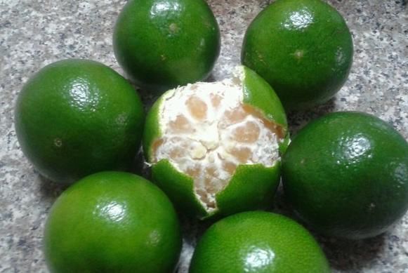 橘脐|买橘子,“公母”要分清,要挑母的,记住4点,保证个个香甜多汁