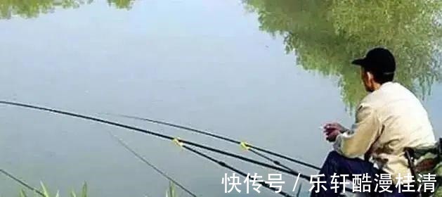 钓鱼不可死等候,东河没鱼西河走,遇到这几种情况要果断换钓位