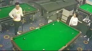 |搞笑GIF:铲屎的赶紧把我放了,否则我拆了你的后备箱