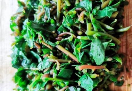 农村常见此野菜,绿油油正鲜嫩,和鸡蛋炒着吃,现在当时要抓紧