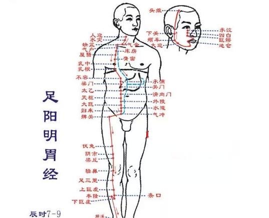  经上班时间|治百病经络大全：身体不舒服了，指导你拍哪条经络！疾病一扫光