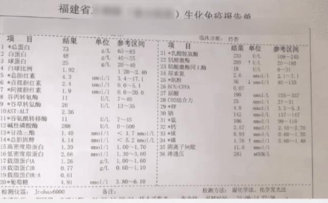 奶茶|给孩子点奶茶外卖，半天吸不上布丁，打开发现布丁全在死壁虎上
