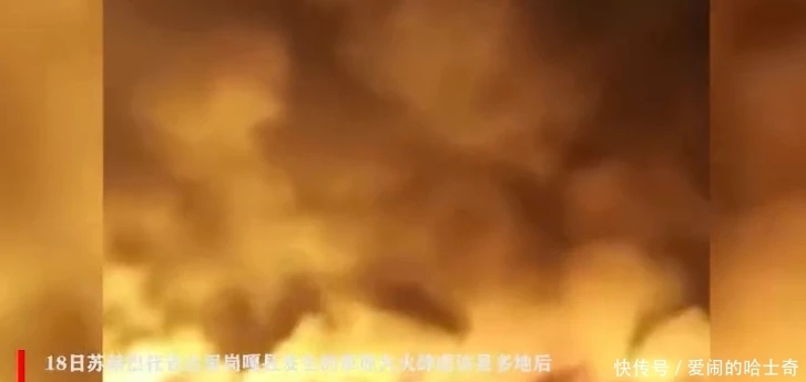 当全网都在催关晓彤给鹿晗庆生时,一场关乎全人类的灾难正悄然降临……