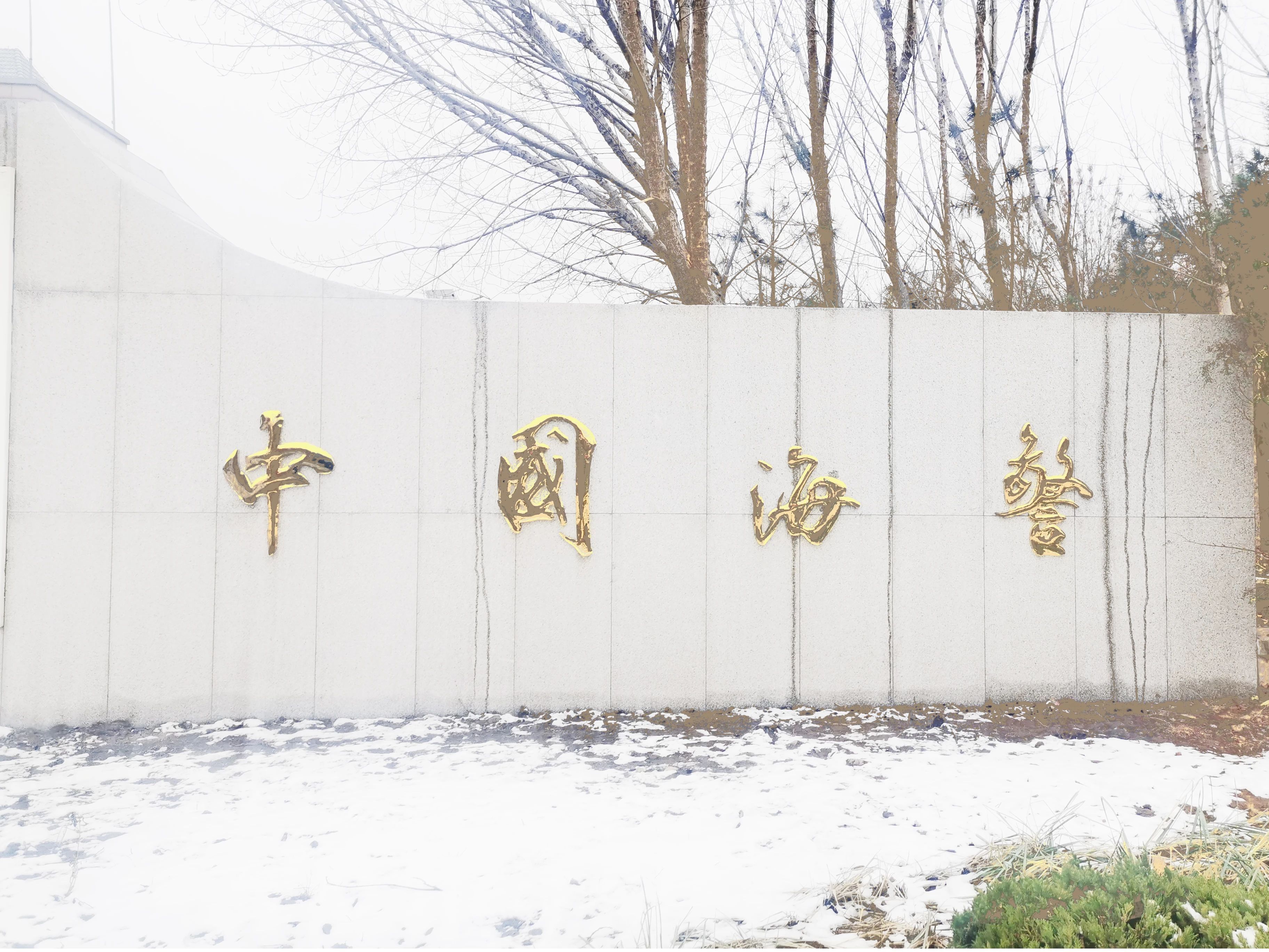 副主席$「严太平」|丹青追梦 水墨本色-中国当代书画名家个人云展览