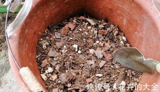 土壤|以下东西不要扔了,土里拌一些,养花效果好,改善土壤!