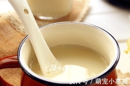 冰糖|打豆浆别只会用黄豆,学会多加2种食材,豆浆香浓美味,营养加倍