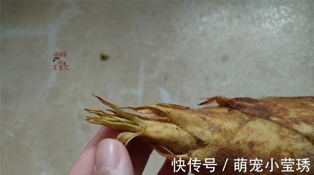 买春笋有诀窍,先别管大小,切记“2不买”,实惠好吃还特别鲜嫩