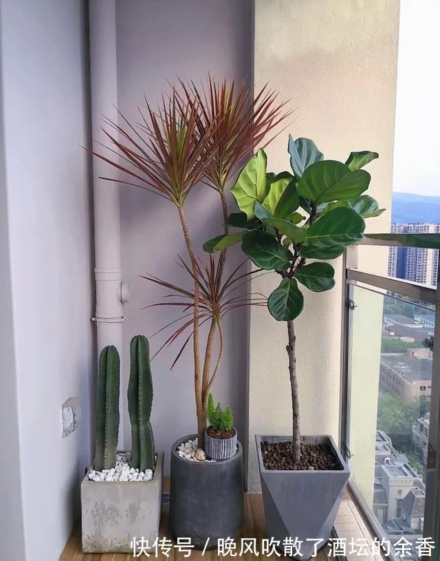 阳台|如今谁还砌红砖包阳台排水管,直接裹一圈麻绳,成本2块钱不到