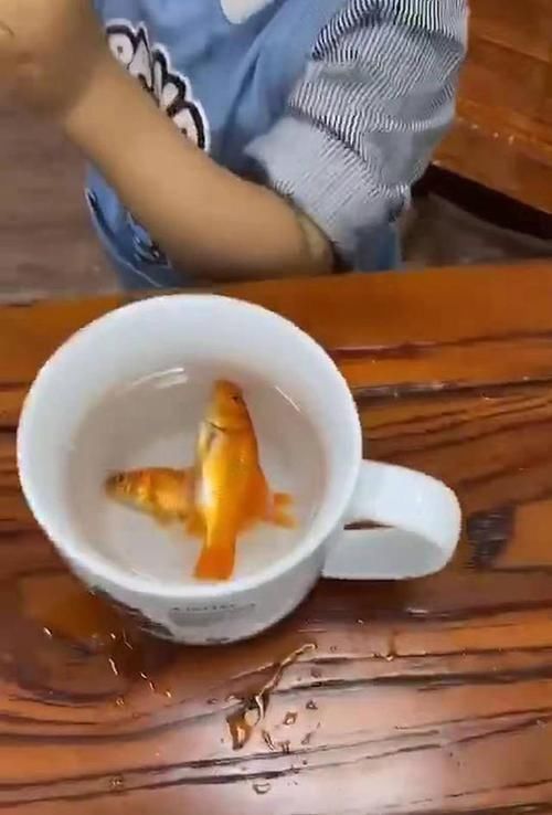 儿子|趁爸爸不留神，儿子往爸爸的茶水里加“佐料”，网友十全大补汤