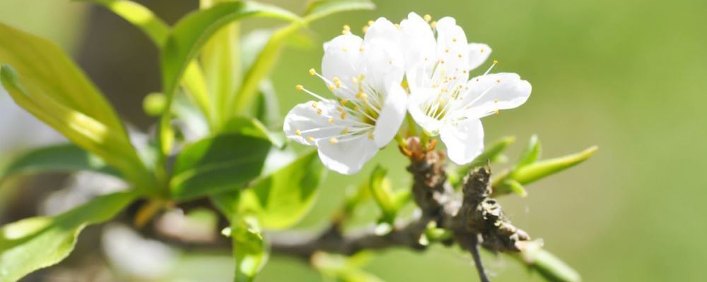 该如何提高记忆力?