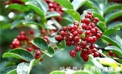 红叶#《红楼梦》古代的定情物有什么 多姑娘赠贾琏的一绺青丝!