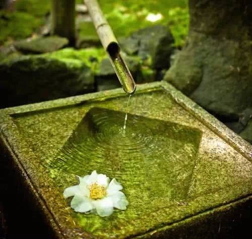 庭院|愿得一庭院,只用来喝茶