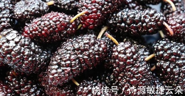 冬天|冬天皮肤干燥,6种食物要多吃,花青素含量高,皮肤水润气色好!