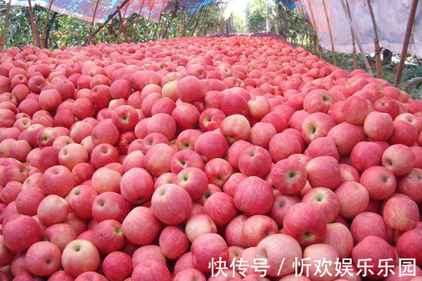 空腹|女性每天早起空腹食用此物，脂肪没了，皮肤年轻细腻，衰老也更慢