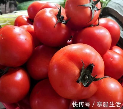 种植户|西红柿打没打激素，种植户教你一招，牢记这“3不买”，一眼看出
