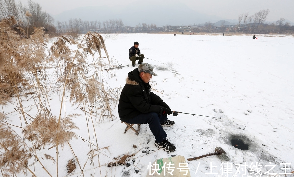 腥香味|降温天鲫鱼怎么钓？掌握好这两点，大板鲫连竿不再难