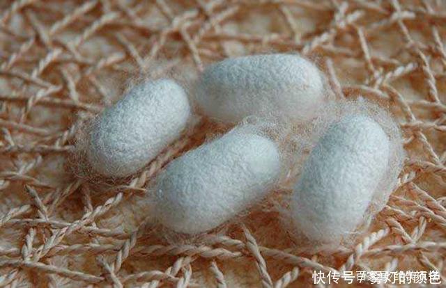 真丝到底贵在哪最专业的“真丝面料”解析，不懂真丝别说你会穿