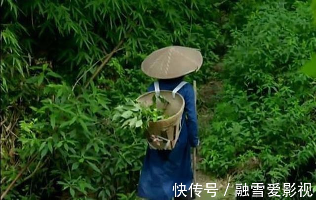 陈士铎|翻出清代“医圣”治阴阳两虚的方子,调和阴阳,男女皆宜!