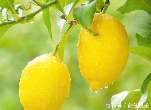 气色|身体好的人都会吃,坚持吃几类食物,消除水肿,改善便秘,气色好