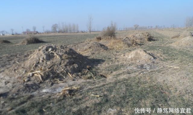 清朝|清朝太监离世大都埋恩济庄,为何坟场的最顶端却埋着大空坟