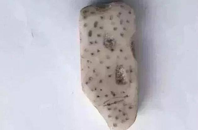 橡皮擦|妈妈帮儿子整理书包,却翻出一堆“奇怪”的文具,网友:同款孩子