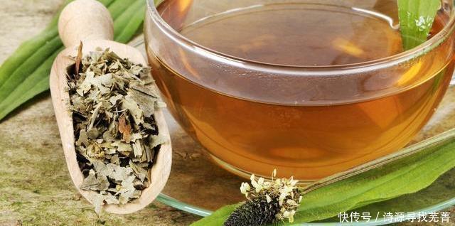 茼蒿|我们的祖先如何对抗痛风有3种神奇植物，还有1种常见野草！