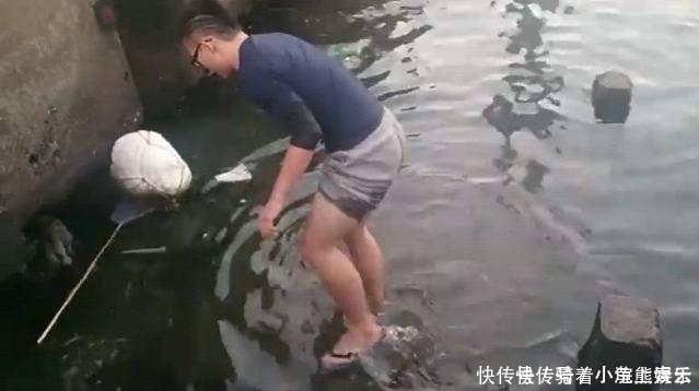 小张|男子在河里钓鱼, 下水被奇怪生物缠住脚, 起来后他大呼发财了