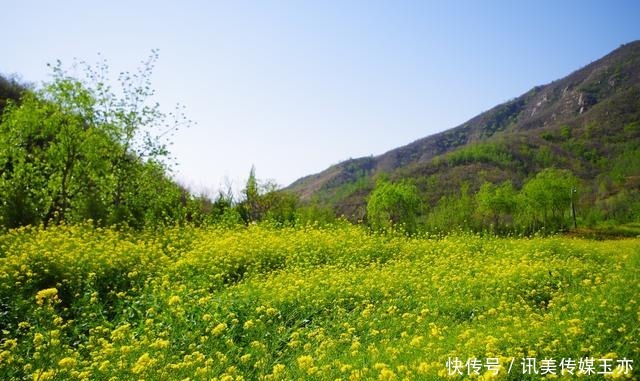 自驾游常馨谷：追寻春天最后一抹油菜花