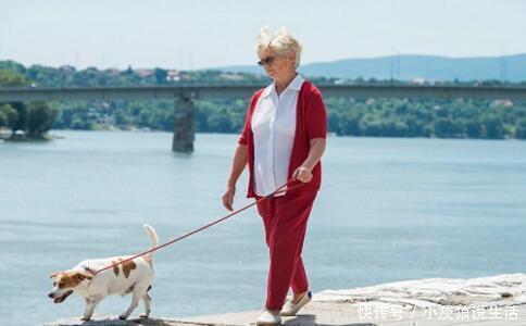 大脑|最新老年痴呆测试:神奇的一张图, 测出你脑部的衰老程度!