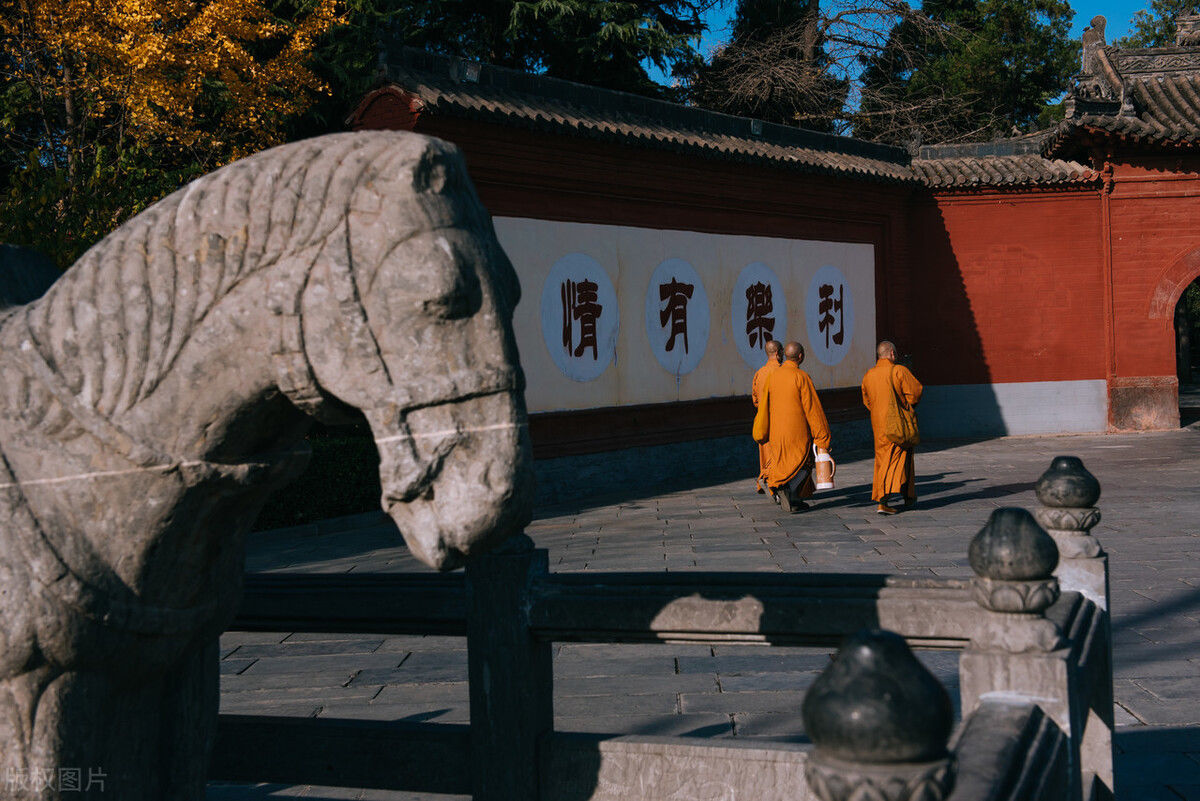 白马寺|好吃了一千多年！有文化NB症的河南，连一碗“汤”都要做到极致