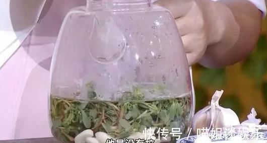 抗菌|救命的马齿苋，99的人不知道的作用再不吃就晚了