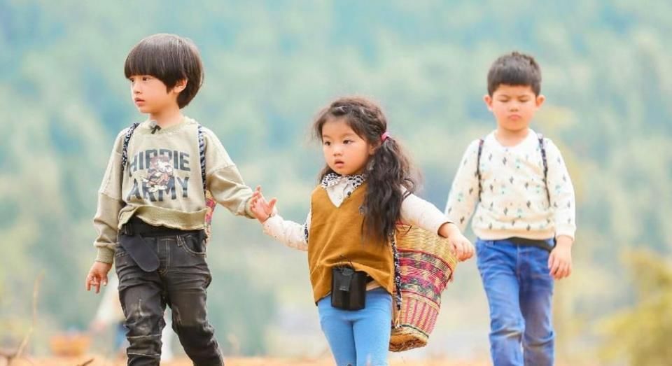 神犬小七|还记得4岁走红的阿拉蕾吗?现在被父母过度消费后,9岁长成这样