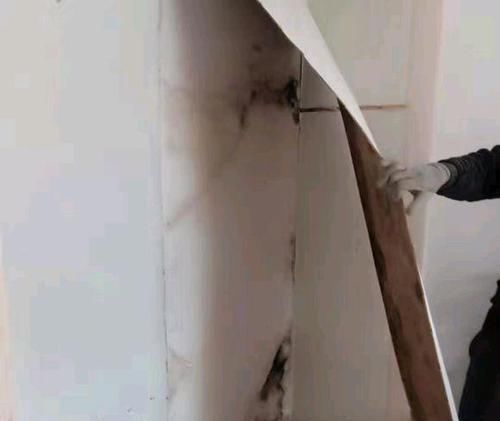 涂刷|入住不到半年衣柜内就充满霉味,扒开一看,为什么没人提醒我注意