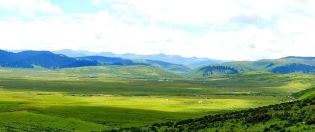 穿过|红军长征时穿过的大草地，现在变成什么样真实场景赏心悦目