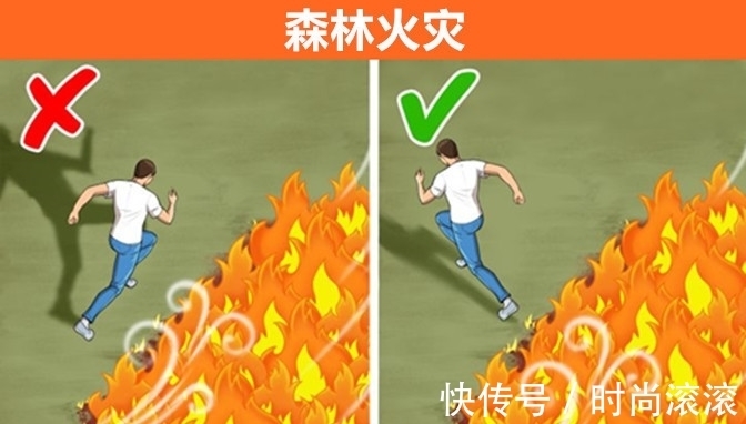 看起来用处不大，但在紧要时刻能给你帮助的9个救命技巧