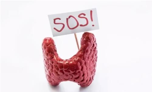 知晓率|中医药治疗甲状腺结节有优势，1药1茶双管齐下，可健脾疏肝