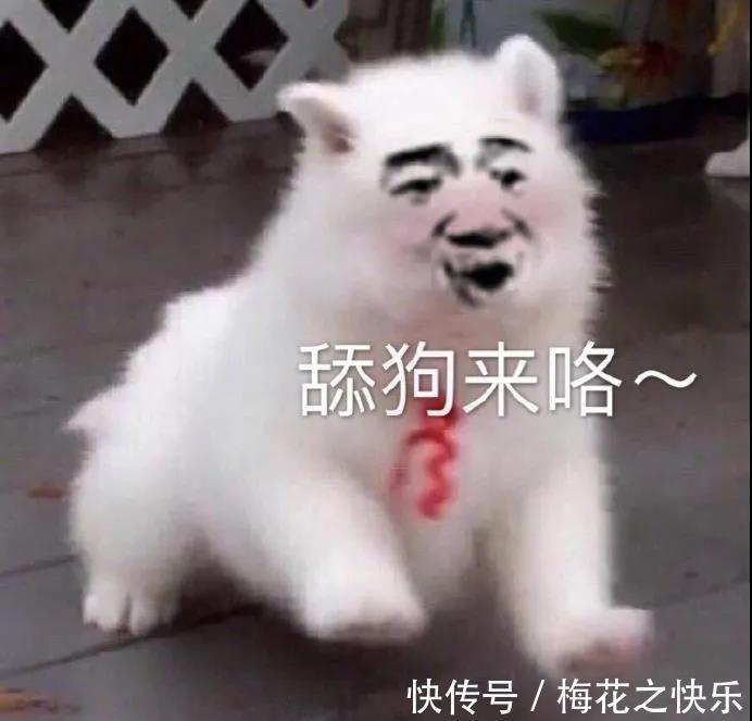 搞笑|动漫搞笑表情包:舔狗篇