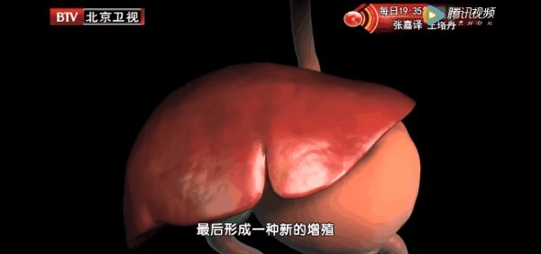 紫苏叶|身边的“天然解毒王”!每天吃一点,健脾祛湿、给肝脏洗洗澡