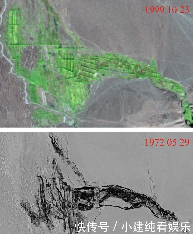 互联网时代 卫星视角，看敦煌阳关林场，55年间的前世今生