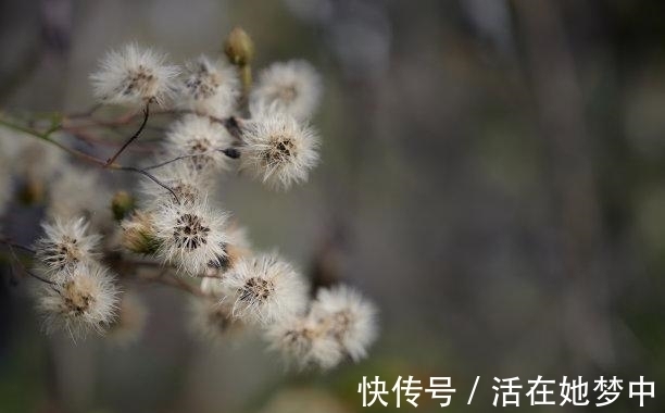 余生|6天后，爱意笼罩，旧情复苏，牵手前任，重拾过往，余生相爱到底