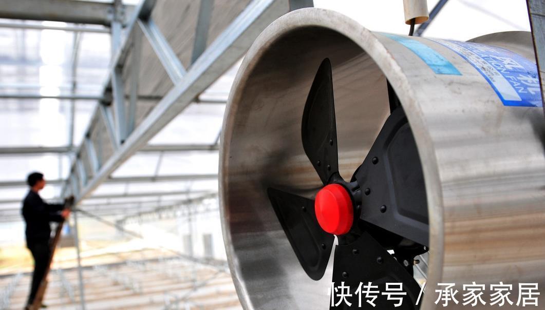 放手|符合这些条件之一，就不太适合养多肉植物，放手吧，省钱省心了