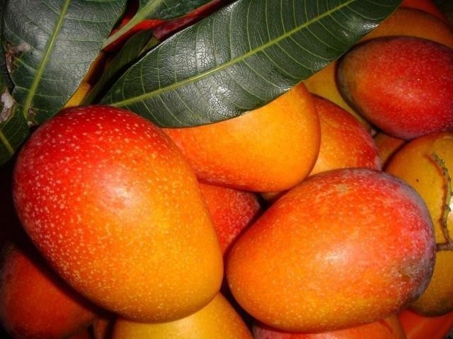 榴莲|生理期需要远离的几种水果,保护自己的身体,经期要注意