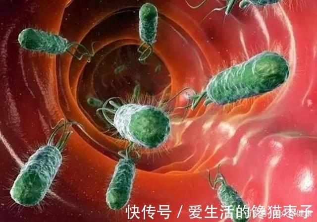 胃痛|胃病“祸根”找到了，第一名不是辣椒！若你不碰，胃会感谢你