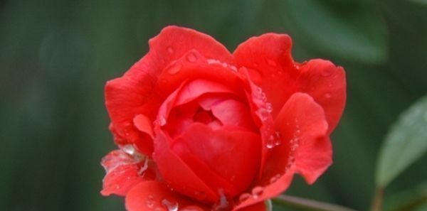 孝顺|出生在以下时辰的孩子,个个“文曲星”,孝顺懂事,长大有出息