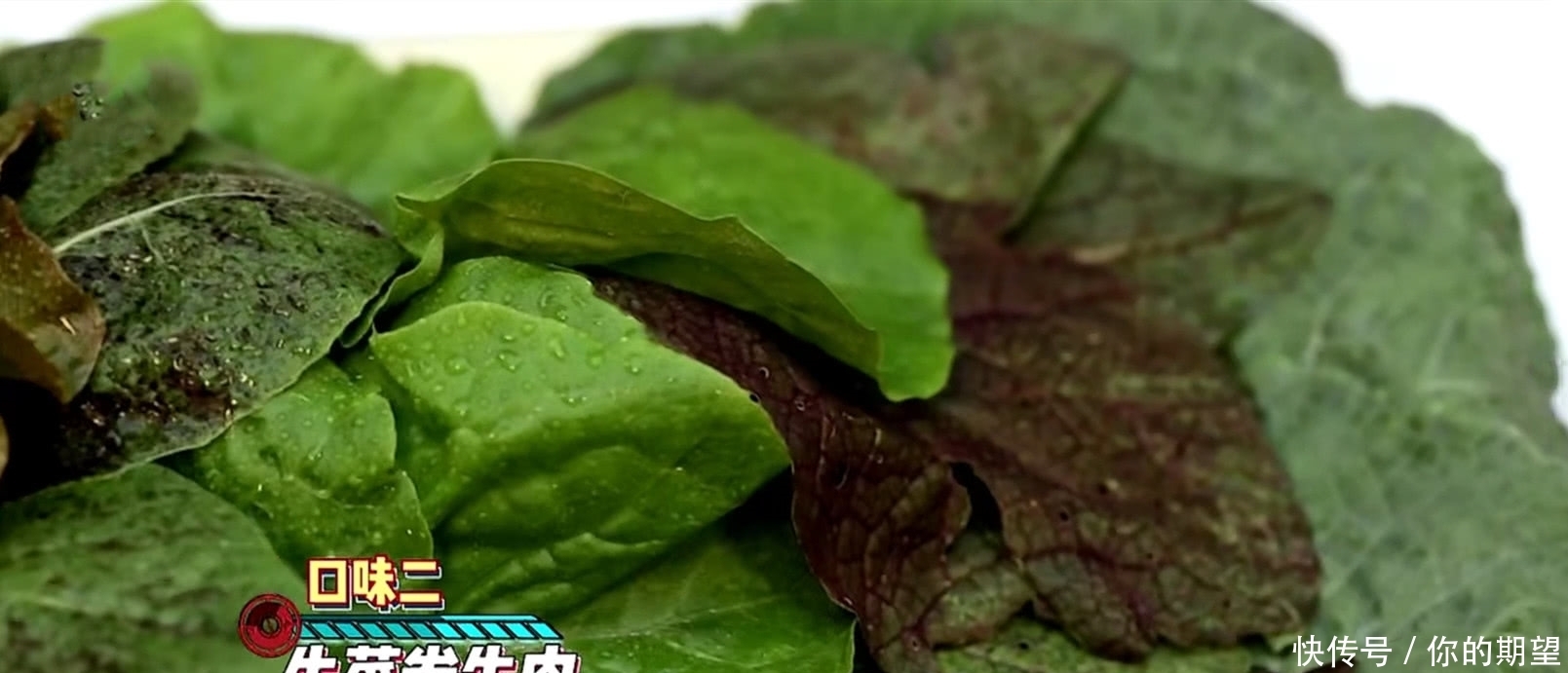 王一博上《天天向上》,大厨教耶波吃烤肉“秘籍”,真没被迫营业