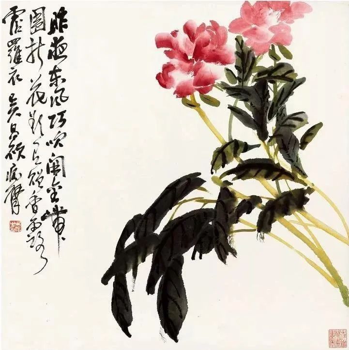 白菜@吴昌硕《花卉清供册》，经典精彩