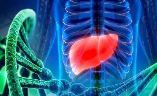 肝脏健康的人,手上会有这5个表现,如果你有,